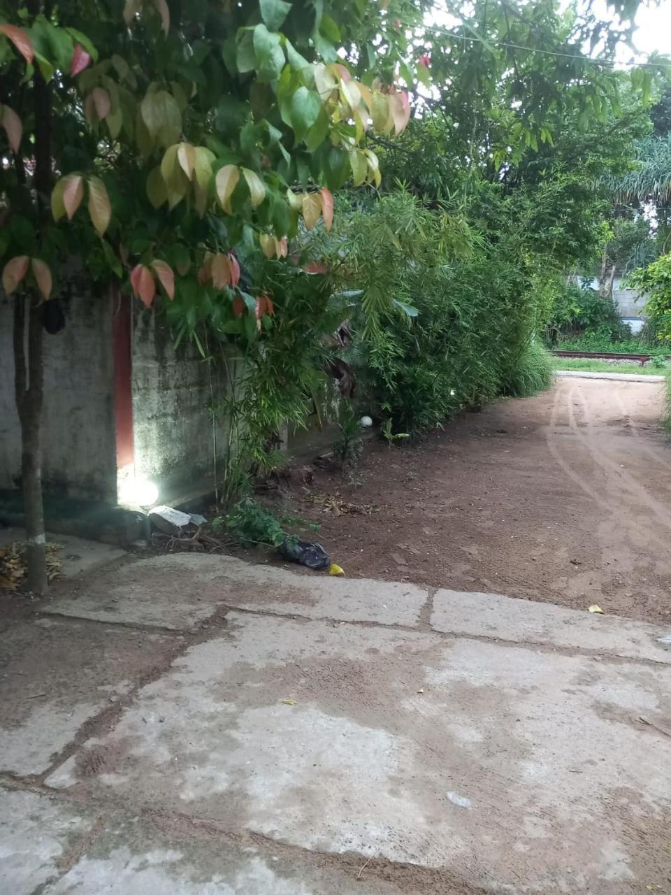 Suninn Hostel And Surf School Weligama Exterior photo