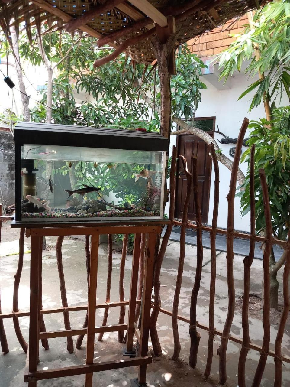 Suninn Hostel And Surf School Weligama Exterior photo